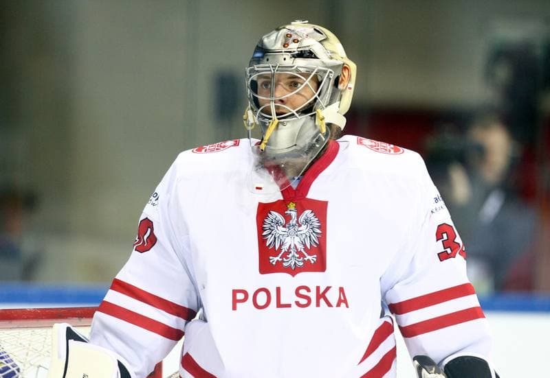 Ice Hockey. IIHF World Championship Division 1A. Poland - Ukraine. 22.04.2015