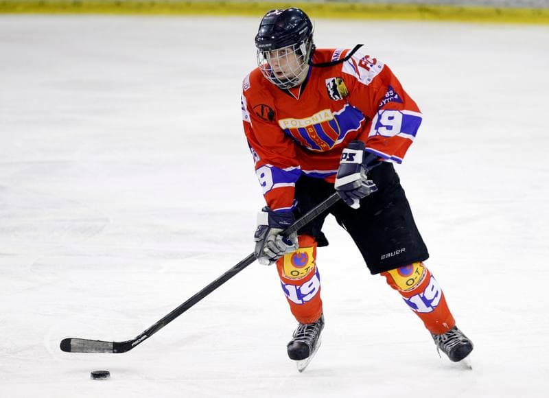 Ice Hockey. Polska Hokej Liga. HC GKS Katowice - Polonia Bytom. 26.01.2014