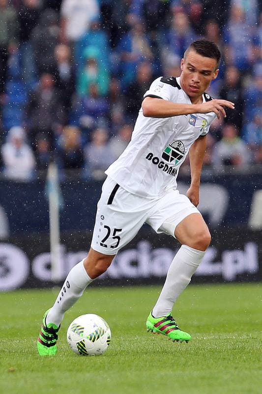 Football. Lotto Ekstraklasa. Ruch Chorzow - Gornik Leczna. 16.07.2016