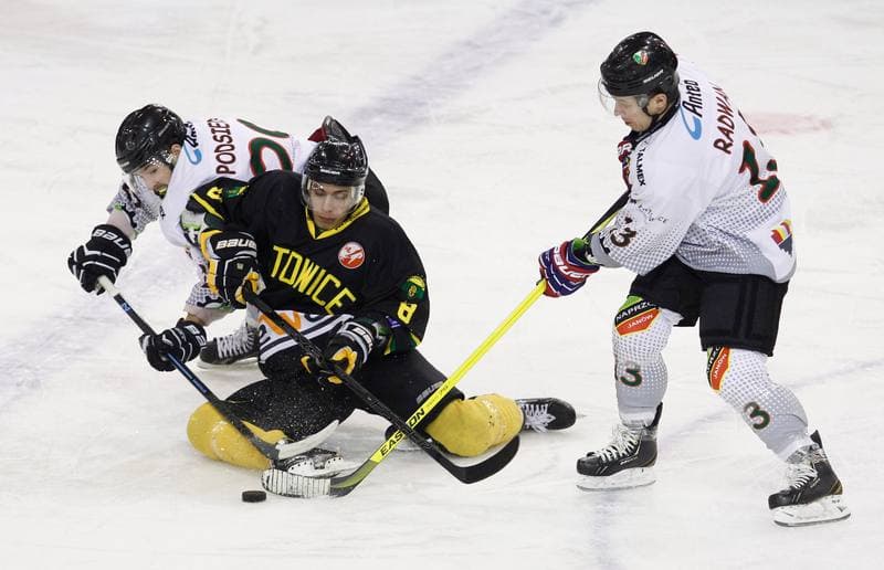 Ice Hockey. Polska Hokej Liga. Naprzod Janow - HC GKS Katowice. 06.01.2015
