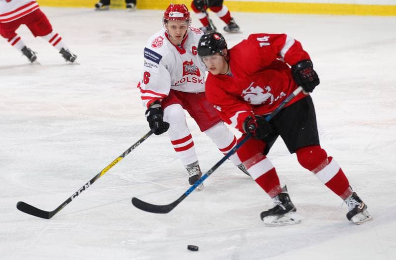 Ice Hockey. International Friendly Match. Poland - Lithuania. 14.04.2016