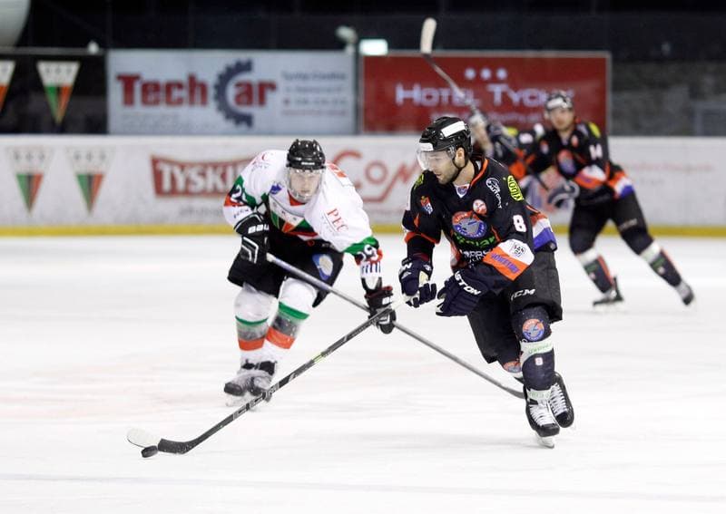 Ice Hockey. Polska Hokej Liga. GKS Tychy - Ciarko KH Sanok. 23.01.2015