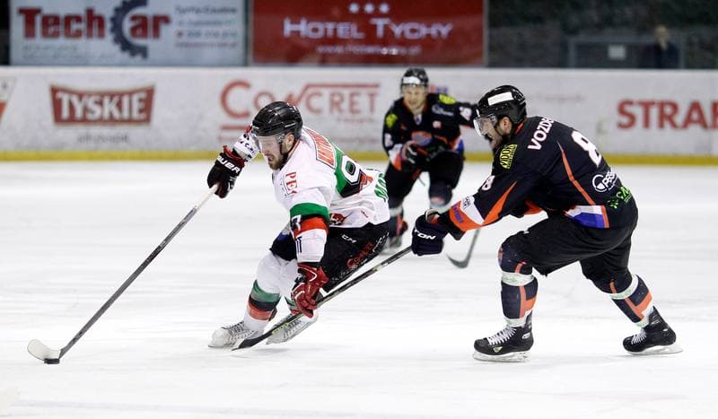 Ice Hockey. Polska Hokej Liga. GKS Tychy - Ciarko KH Sanok. 23.01.2015