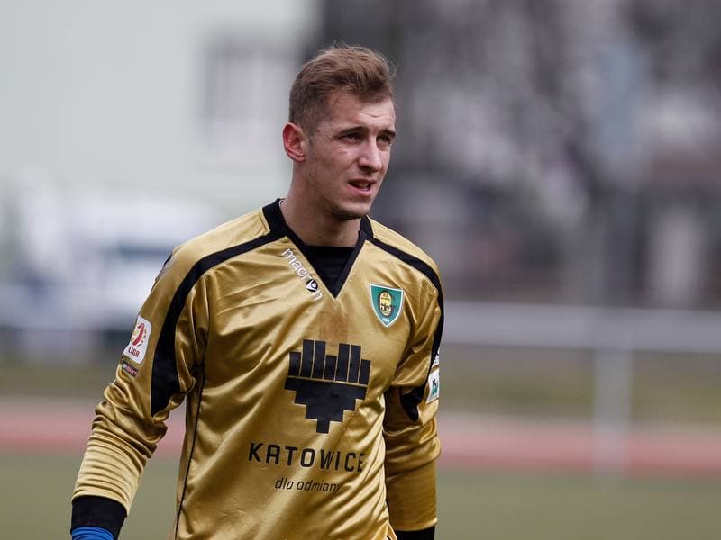 Football. Friendly Match. FC Hradec Kralove - GKS Katowice. 14.02.2015