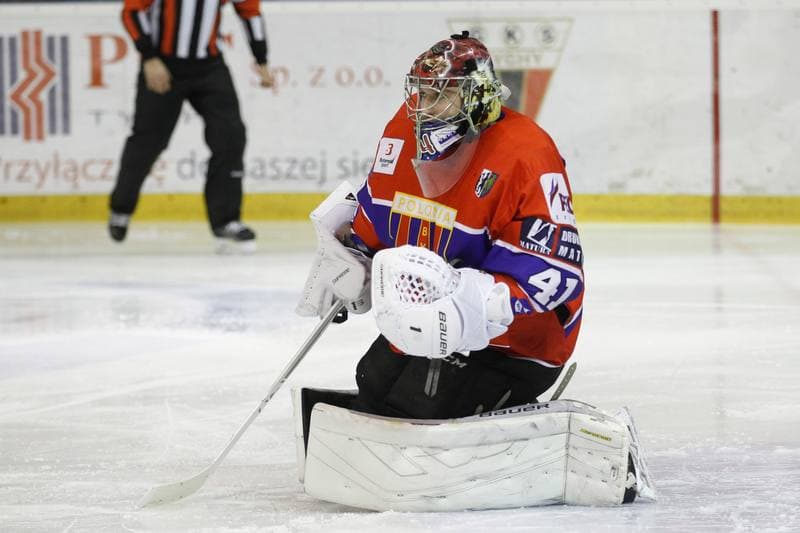Ice Hockey. Polska Hokej Liga. GKS Tychy - Tempish Polonia Bytom. 06.12.2016