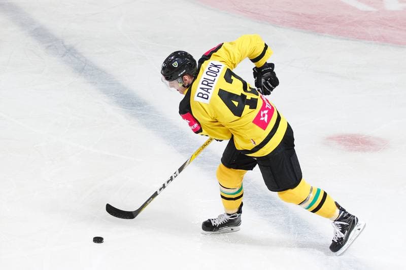 Ice Hockey. Polska Hokej Liga. Tauron KH GKS Katowice - Nesta Torun. 22.01.2017