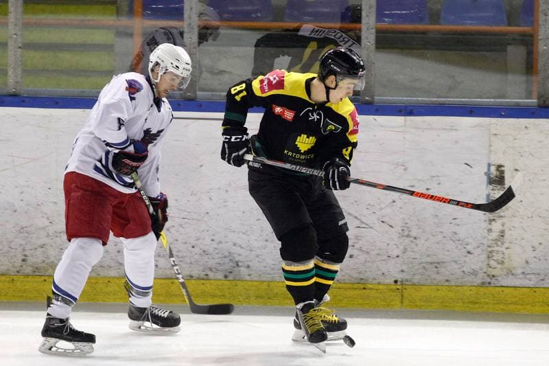 Ice Hockey. Polska Hokej Liga. SMS PZHL Sosnowiec - Tauron KH GKS Katowice. 31.01.2017