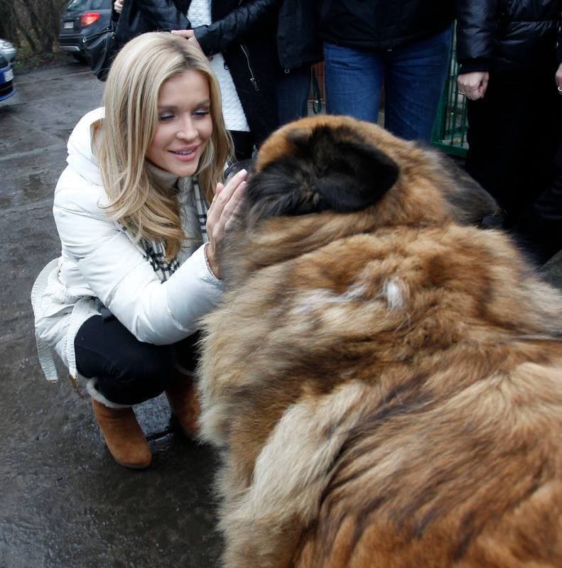 Joanna Krupa. Animal Shelter. Visit. 30.11.2013