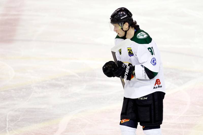 Ice Hockey. I Liga. Naprzod Janow - Hokej Poznan. 18.02.2017