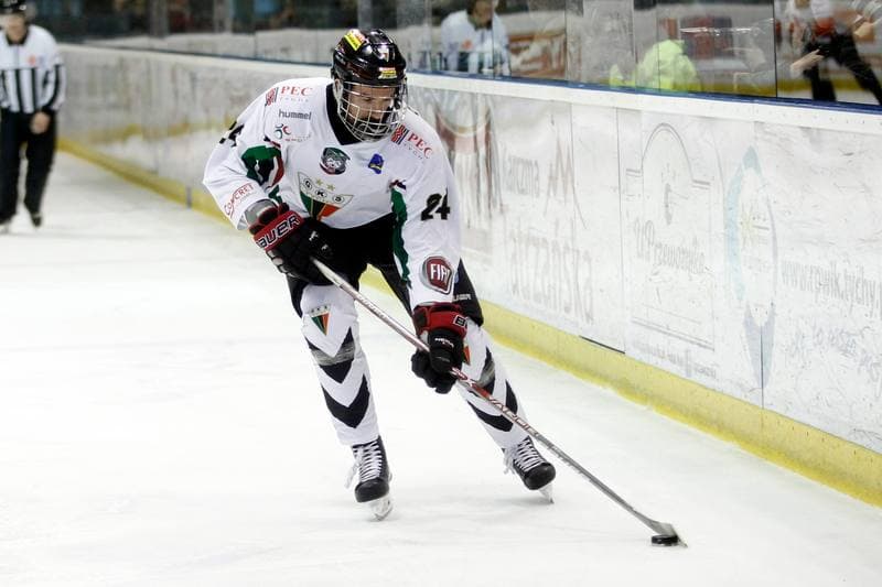 Ice Hockey. Polska Hokej Liga. GKS Tychy - Comarch Cracovia. 29.03.2017
