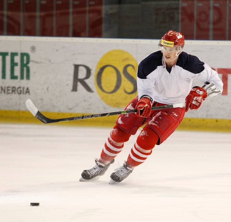 Ice Hockey. Poland national team. Training. 14.04.2025