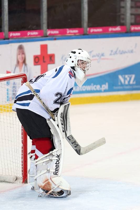 Ice Hockey. Polska Hokej Liga. SMS PZHL Katowice - Automatyka Gdansk. 12.10.2017