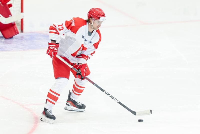 Ice Hockey. Friendly Match. Poland - Hungary. 13.04.2024