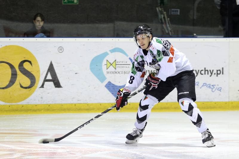 Ice Hockey. Polska Hokej Liga. GKS Tychy - Comarch Cracovia. 25.10.2017