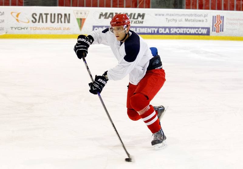 Ice Hockey. Poland national team. Training. 14.04.2025