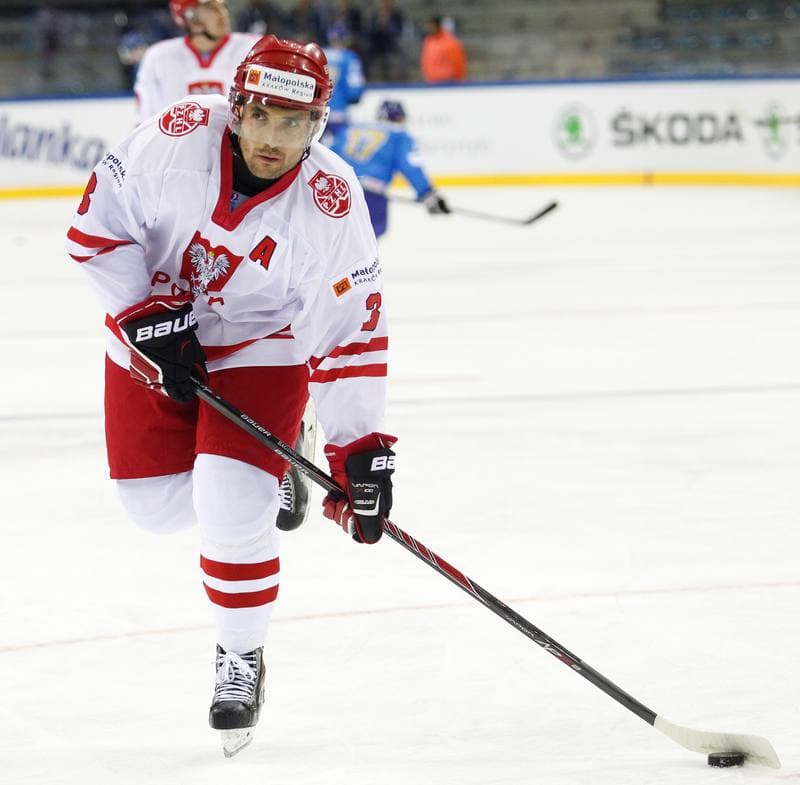 Ice Hockey. IIHF World Championship Division 1A. Poland - Kazakhstan. 23.04.2015