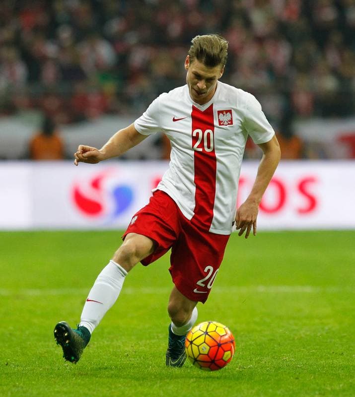 Football. International Friendly. Poland - Iceland. 13.11.2015