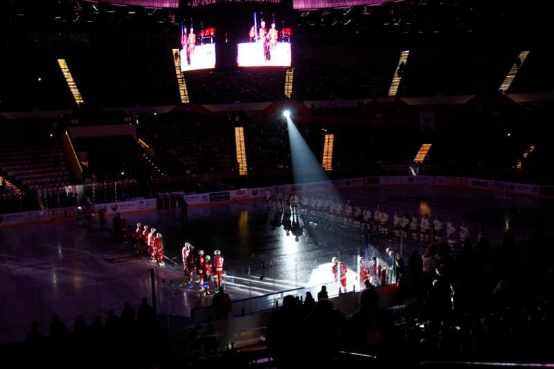 Ice Hockey. Friendly Match. Poland - Stars of PHL. 06.02.2016