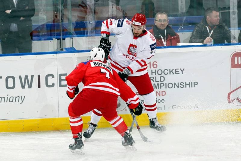 Ice Hockey. Friendly Match. Poland - Stars of PHL. 06.02.2016