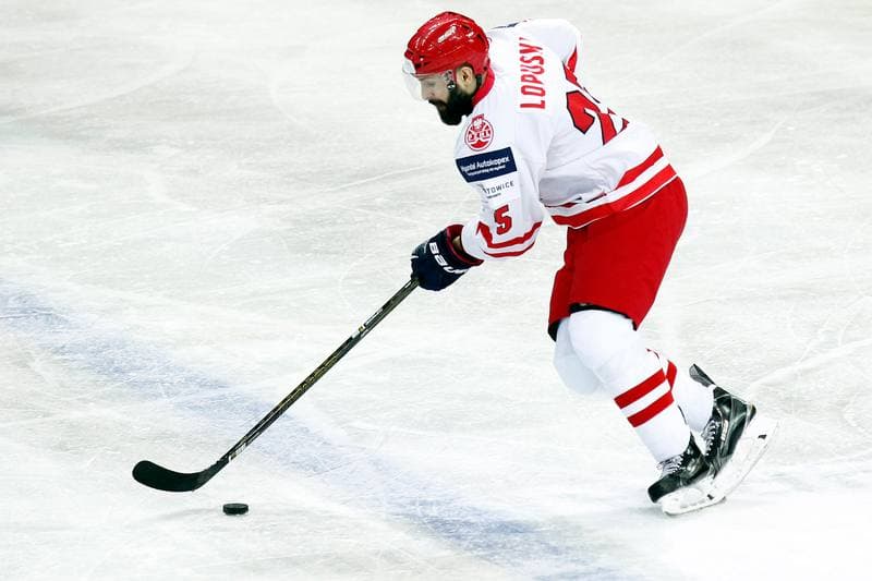 Ice Hockey. Friendly Match. Poland - Stars of PHL. 06.02.2016