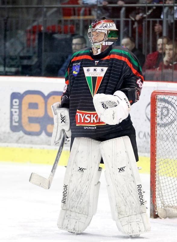 Ice Hockey. Polish Hockey League. Comarch Cracovia - GKS Tychy. 22.03.2016