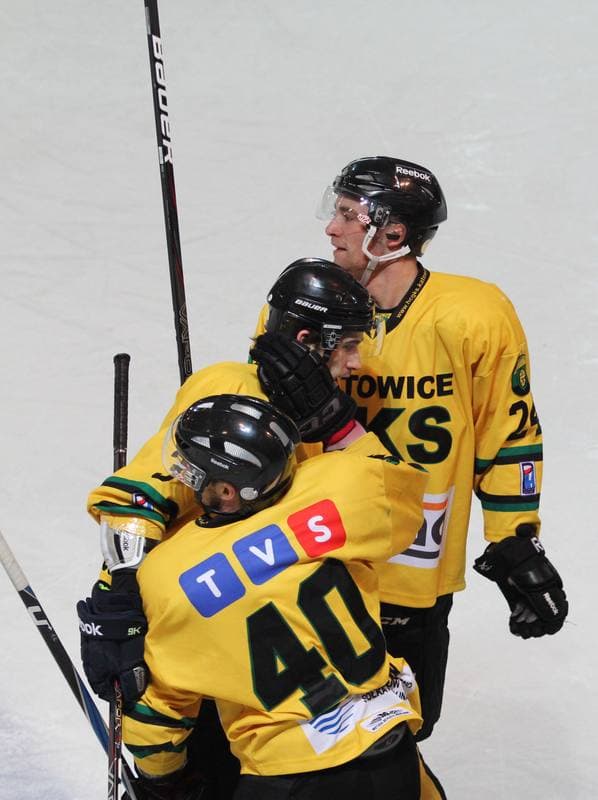 Ice Hockey. Polska Liga Hokeja na Lodzie. HC GKS Katowice - GKS Tychy. 25.01.2013