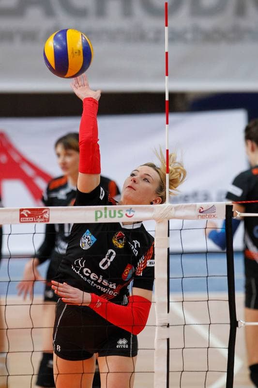 Volleyball. Orlen Liga. MKS Dabrowa Gornicza - KSZO Ostrowiec Swietokrzyski. 03.02.2016
