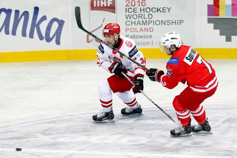 Ice Hockey. Friendly Match. Poland - Stars of PHL. 06.02.2016