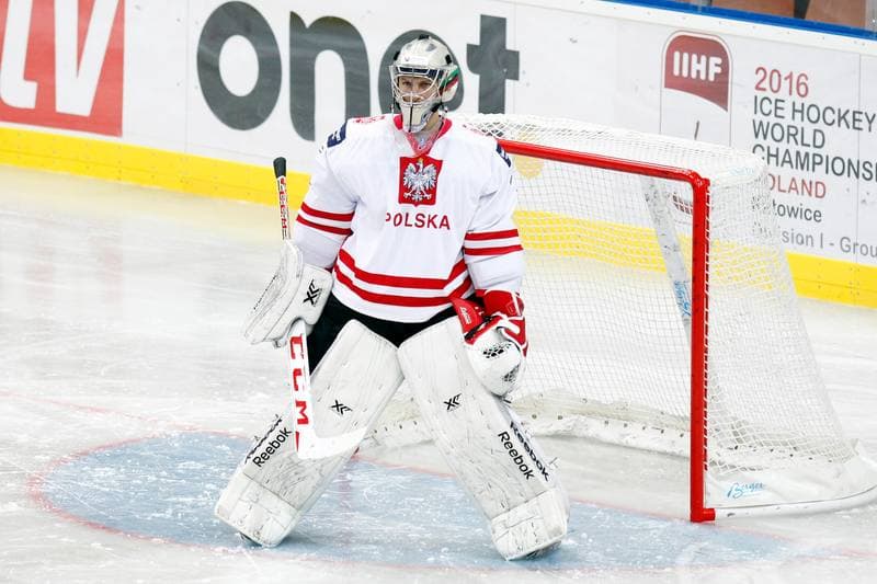 Ice Hockey. Friendly Match. Poland - Stars of PHL. 06.02.2016