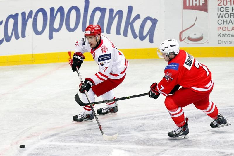 Ice Hockey. Friendly Match. Poland - Stars of PHL. 06.02.2016