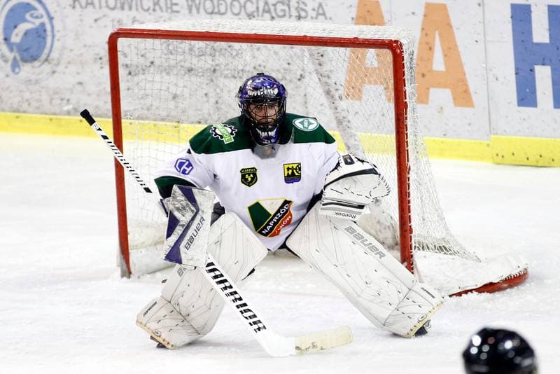 Ice Hockey. I Liga. Naprzod Janow - Zaglebie Sosnowiec. 22.01.2017