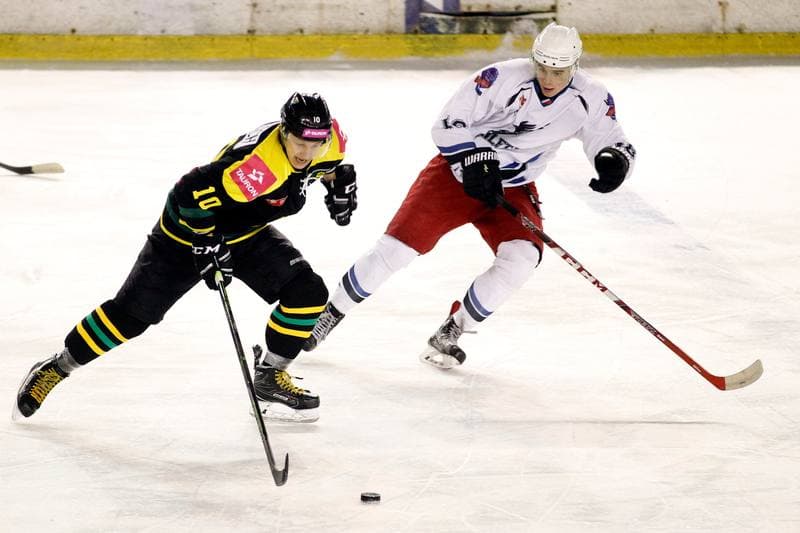 Ice Hockey. Polska Hokej Liga. SMS PZHL Sosnowiec - Tauron KH GKS Katowice. 31.01.2017