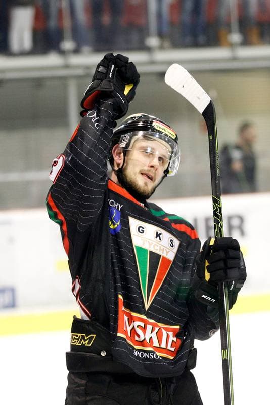 Ice Hockey. Polish Hockey League. Comarch Cracovia - GKS Tychy. 22.03.2016