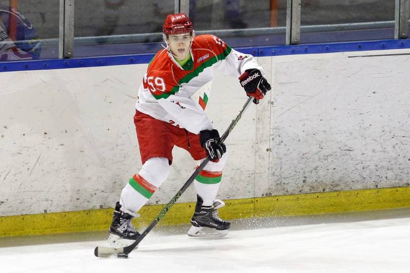 Ice Hockey. I Liga. Zaglebie Sosnowiec - UKH Debica. 18.02.2017