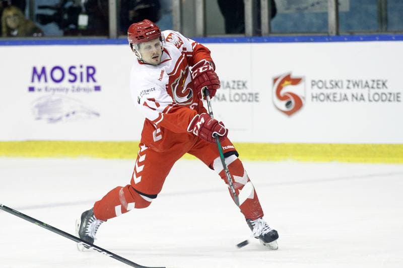 Ice Hockey. International Friendly Match. Poland - Slovakia B. 07.04.2017