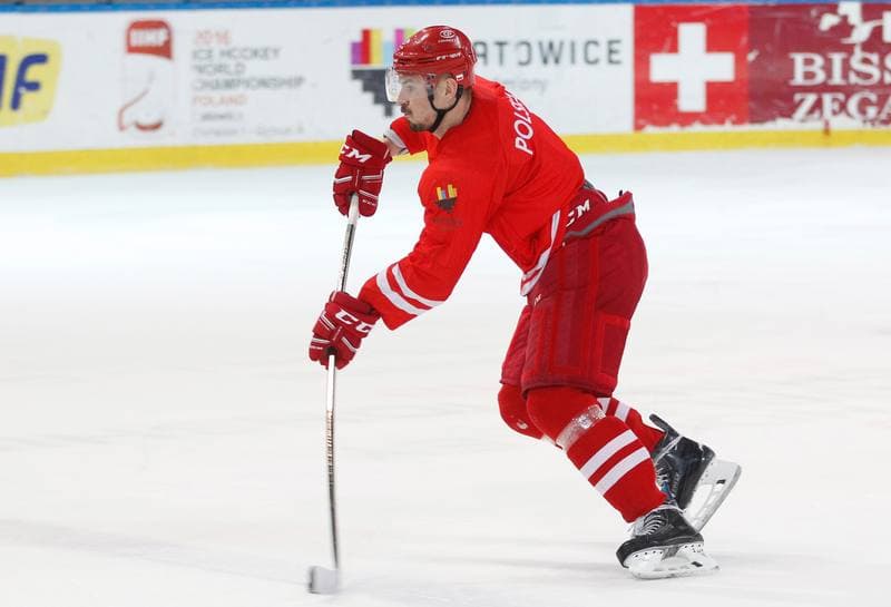 Ice Hockey. Poland national team. Training. 13.04.2016