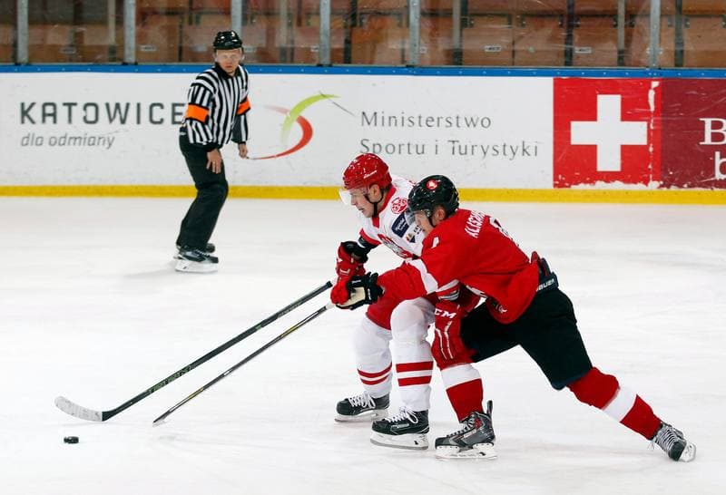 Ice Hockey. International Friendly Match. Poland - Lithuania. 14.04.2016