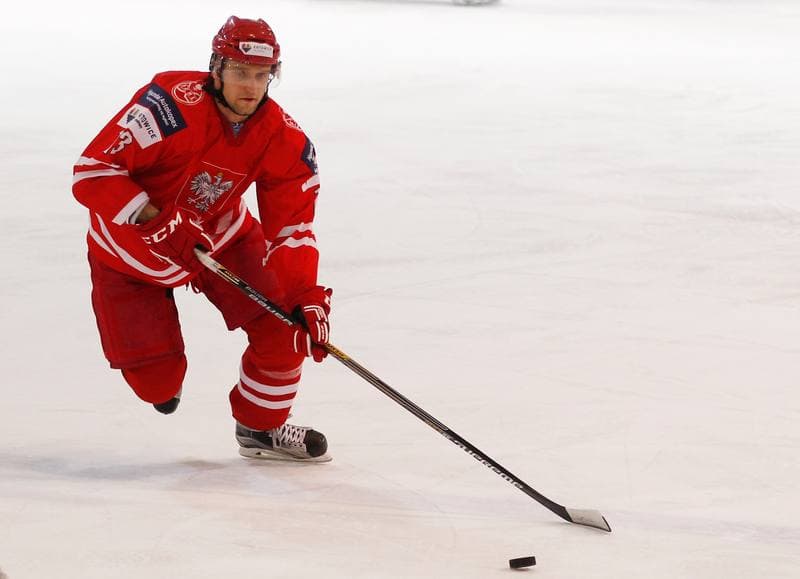 Ice Hockey. International Friendly Match. Poland - Korea. 16.04.2016