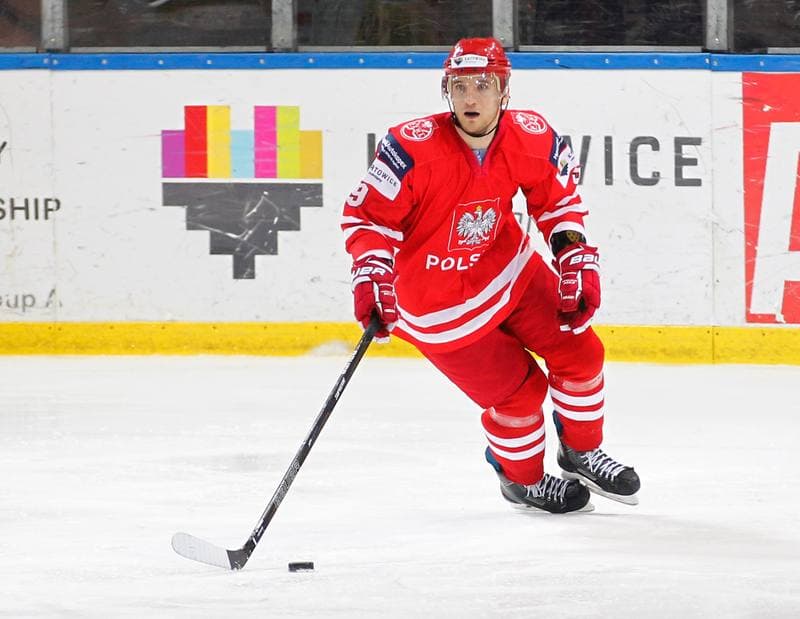 Ice Hockey. International Friendly Match. Poland - Korea. 16.04.2016
