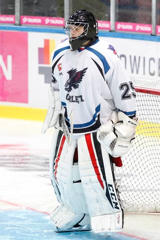 Ice Hockey. Polska Hokej Liga. SMS PZHL Katowice - Orlik Opole. 17.09.2017