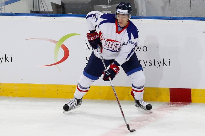 Ice Hockey. World Championship Division 1A. Slovenia - Korea. 27.04.2016