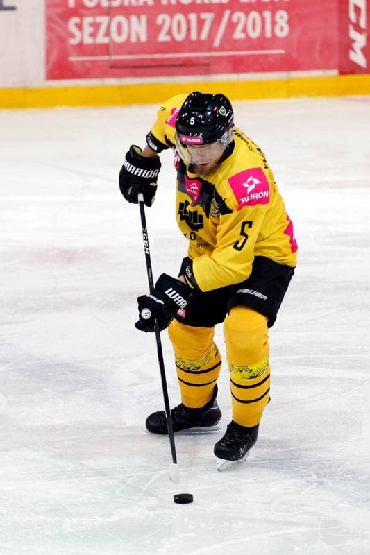 Ice Hockey. Tauron Hokej Liga. Tauron KH GKS Katowice - Anteo Naprzod Janow. 03.11.2017