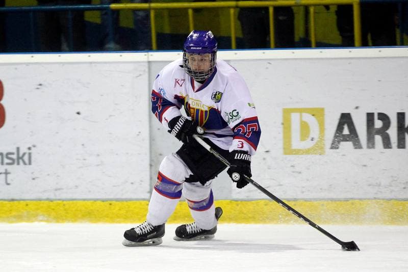 Ice Hockey. Polska Hokej Liga. Polonia Bytom - GKS Tychy. 28.01.2018