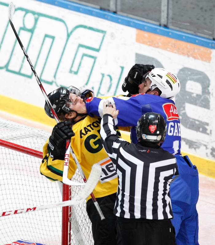 Ice Hockey. Polska Hokej Liga. HC GKS Katowice - Aksam Unia Oswiecim. 10.01.2014