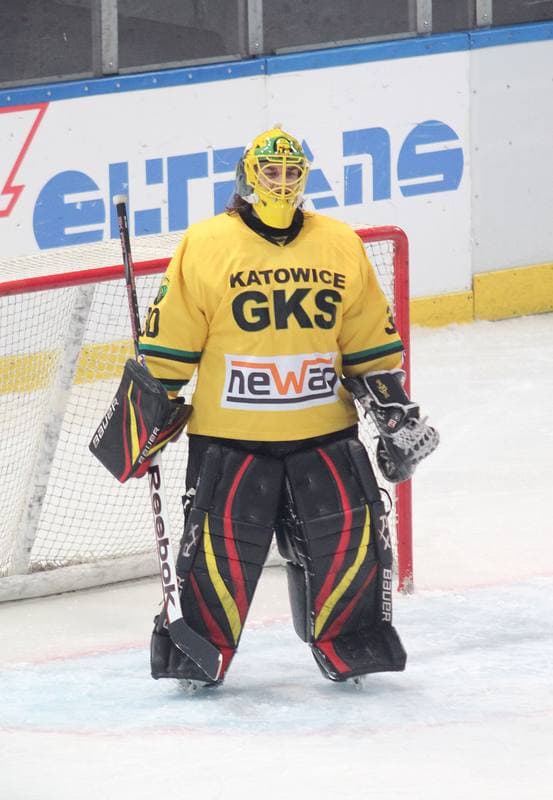 Ice Hockey. Polska Liga Hokejowa. HC GKS Katowice - JKH GKS Jastrzebie. 17.02.2013