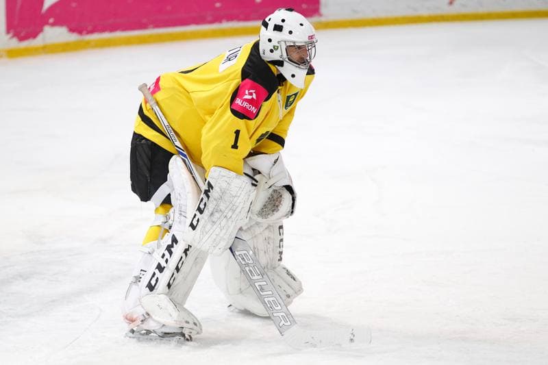 Ice Hockey. Polska Hokej Liga. Tauron KH GKS Katowice - Nesta Torun. 06.12.2016