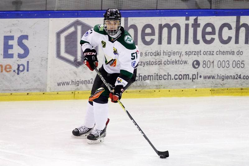 Ice Hockey. I Liga. Naprzod Janow - Zaglebie Sosnowiec. 22.01.2017
