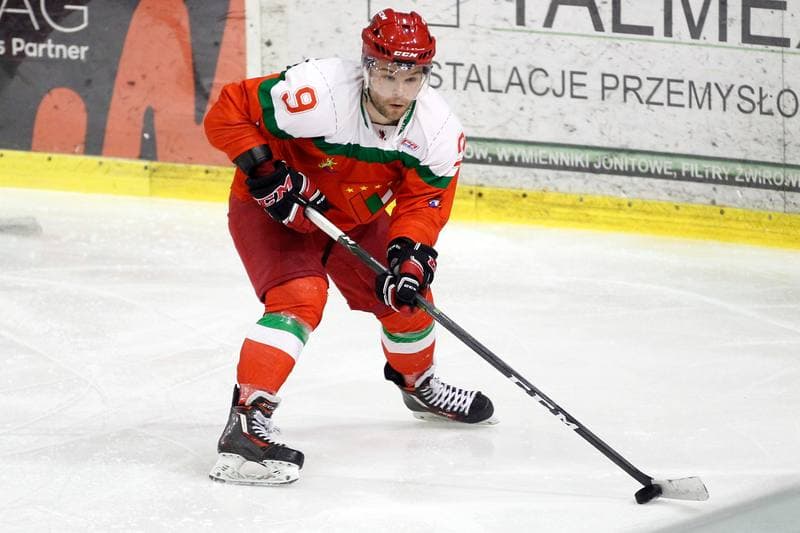 Ice Hockey. I Liga. Naprzod Janow - Zaglebie Sosnowiec. 22.01.2017