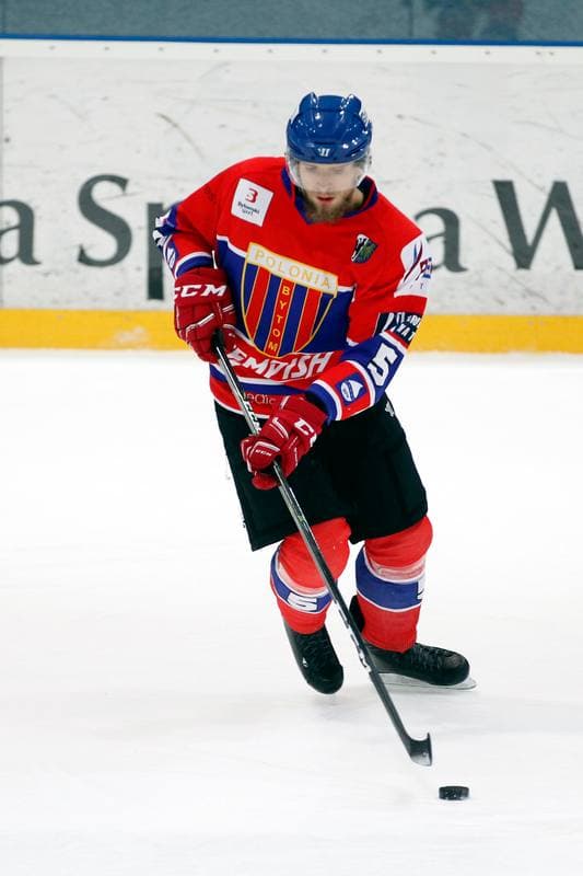 Ice Hockey. Polska Hokej Liga. JKH GKS Jastrzebie - Tempish Polonia Bytom. 05.02.2017