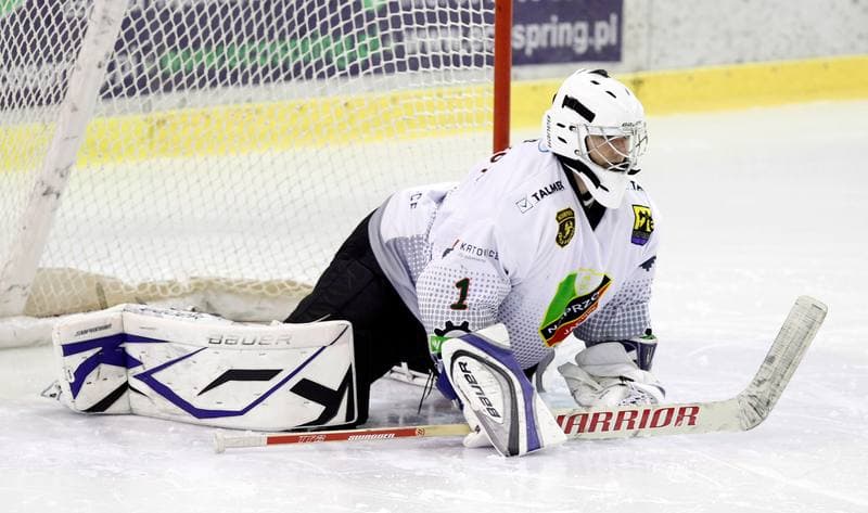 Ice Hockey. Polska Hokej Liga. Naprzod Janow - Polonia Bytom. 09.10.2014
